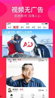 娱乐吃瓜搞笑剪辑视频下载,笑料横生！娱乐吃瓜搞笑剪辑视频大合集下载