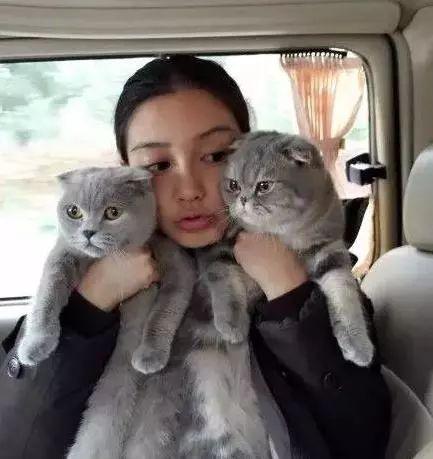 娱乐圈吃瓜猫咪是谁呀,揭秘网络红星的幕后推手